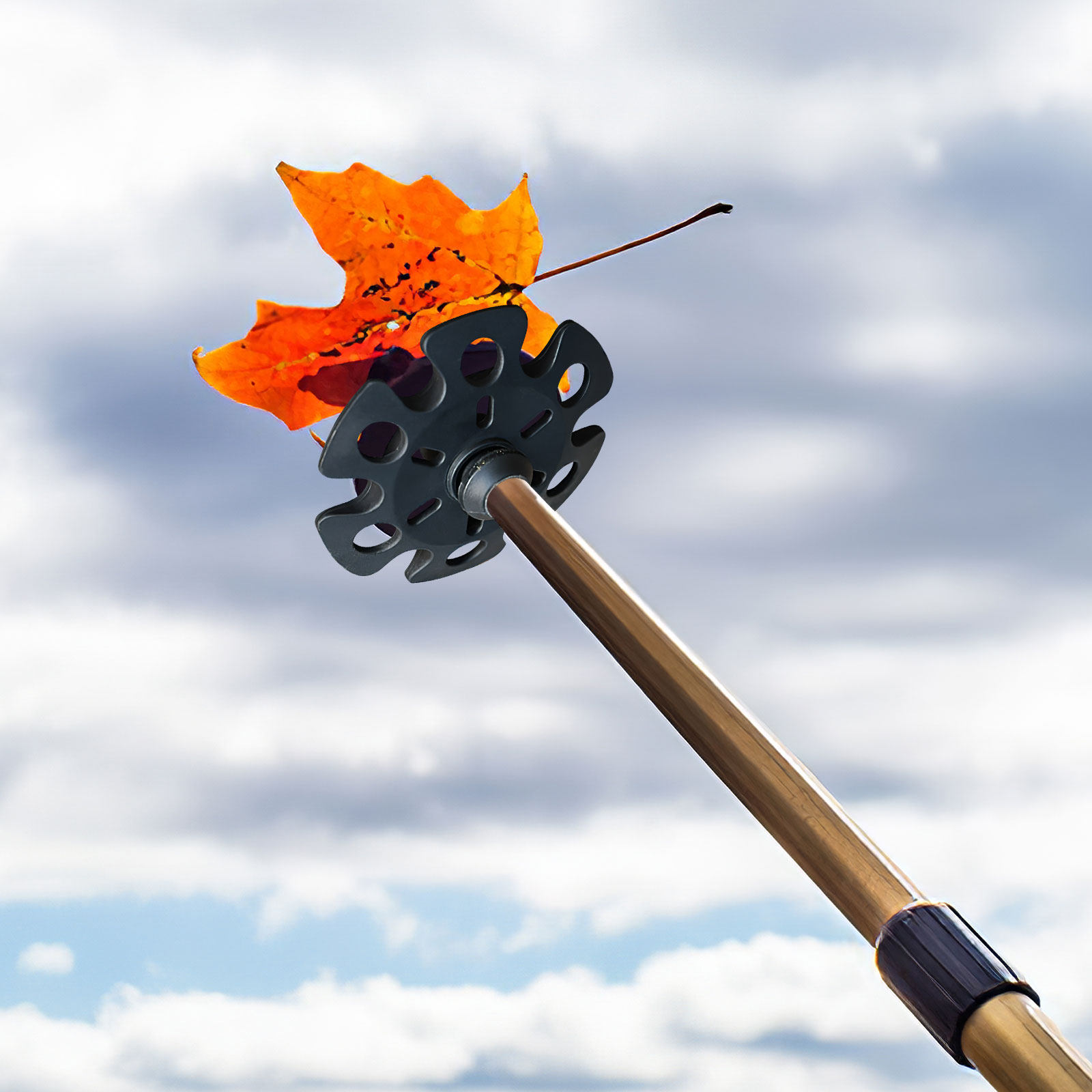 1 juego de accesorios para pun - Snow Baskets Mud Baskets Trekking Pole reseña y precio