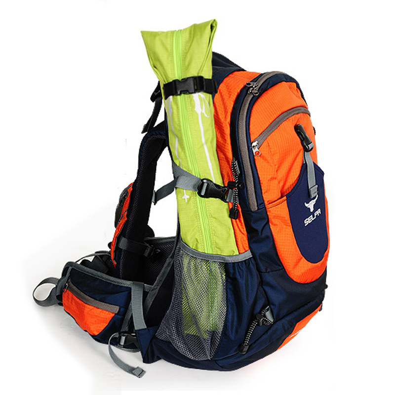 Bolsa de transporte para bastó - Trekking Pole Carry Bag Storage reseña y precio