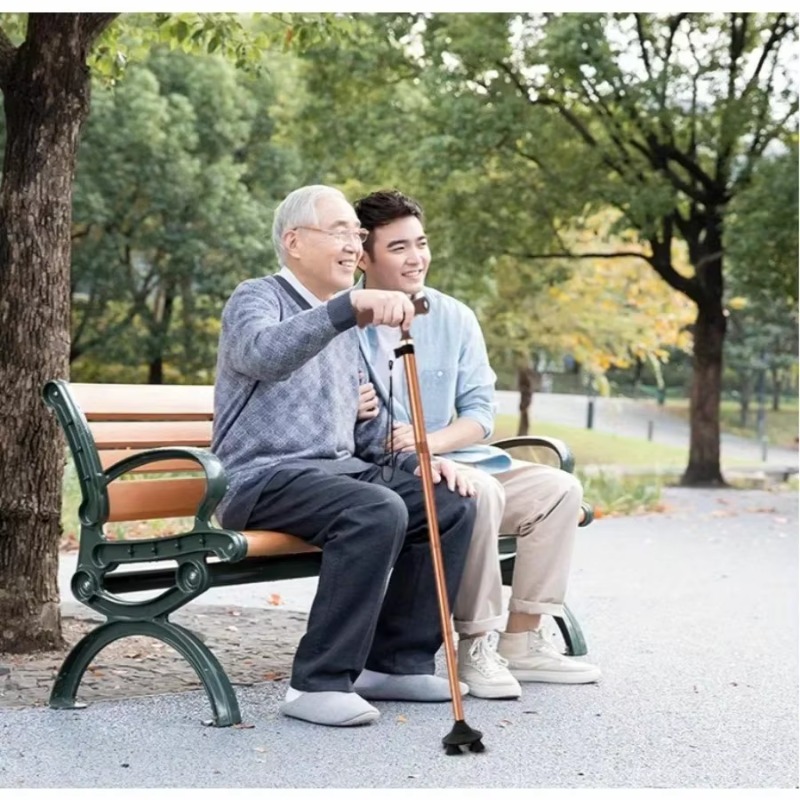 Bastón de senderismo plegable  - Folding Walking Sticks Hiking Adjustable reseña y precio