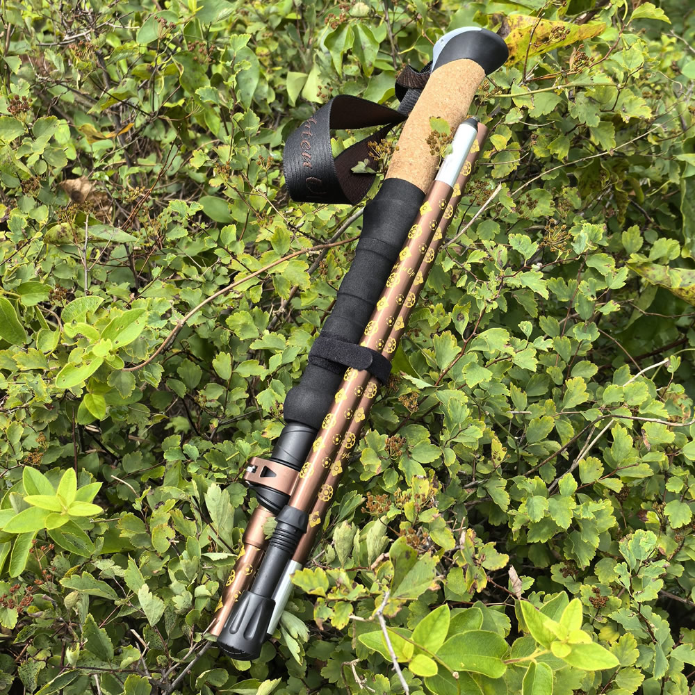 Bastón de senderismo plegable  - Folding Walking Sticks Hiking Adjustable reseña y precio